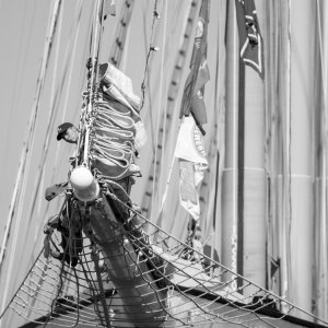 Baptiste-The Tall Ship Race - les vieux grééments-03 août 2018-0044